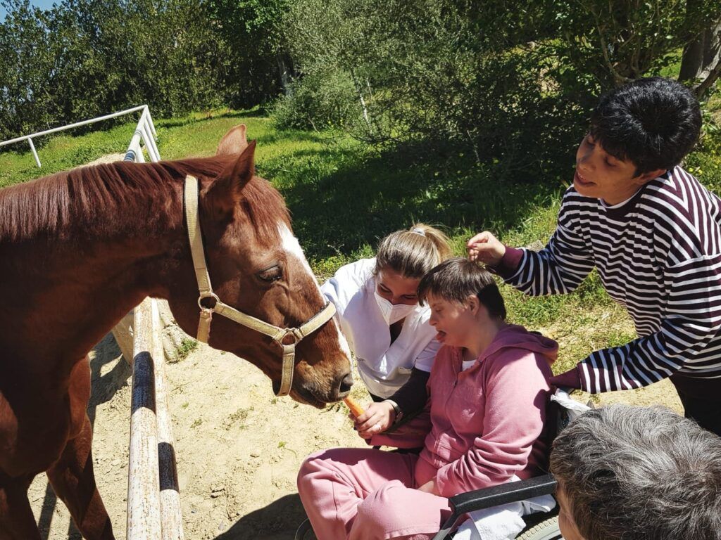 actividades_extraordinarias