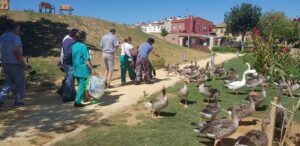 Salida diaria al parque de Gines